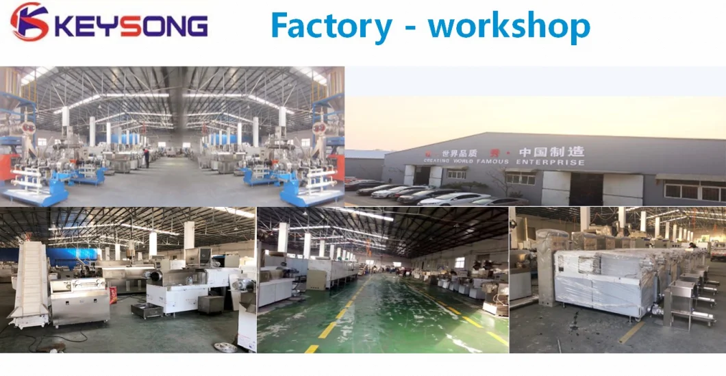 Pet Food Machine Dog and Cat Daily Food Processing Line