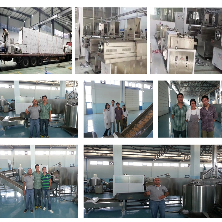 Pet Feed Food Pellet Make Machine Line Wet Pet Food Processing Machines Cold Pet Treat Pressing Machine Dry Pet Food Production Line