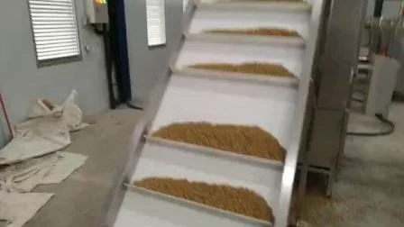 Linea di lavorazione pellet di cibo per cani