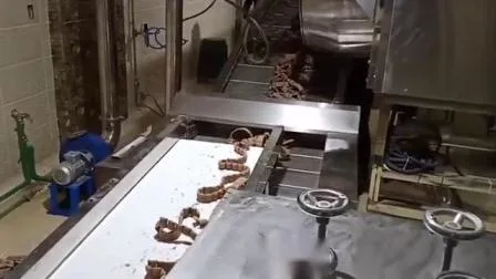 Notevole linea di lavorazione degli alimenti per animali domestici con macchinari per la marmellata di masticazione