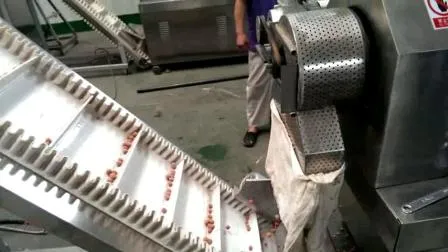 Macchine galleggianti per mangime per pesci/macchina per pellet di mangime per pesci/linea di lavorazione mangime per pesci